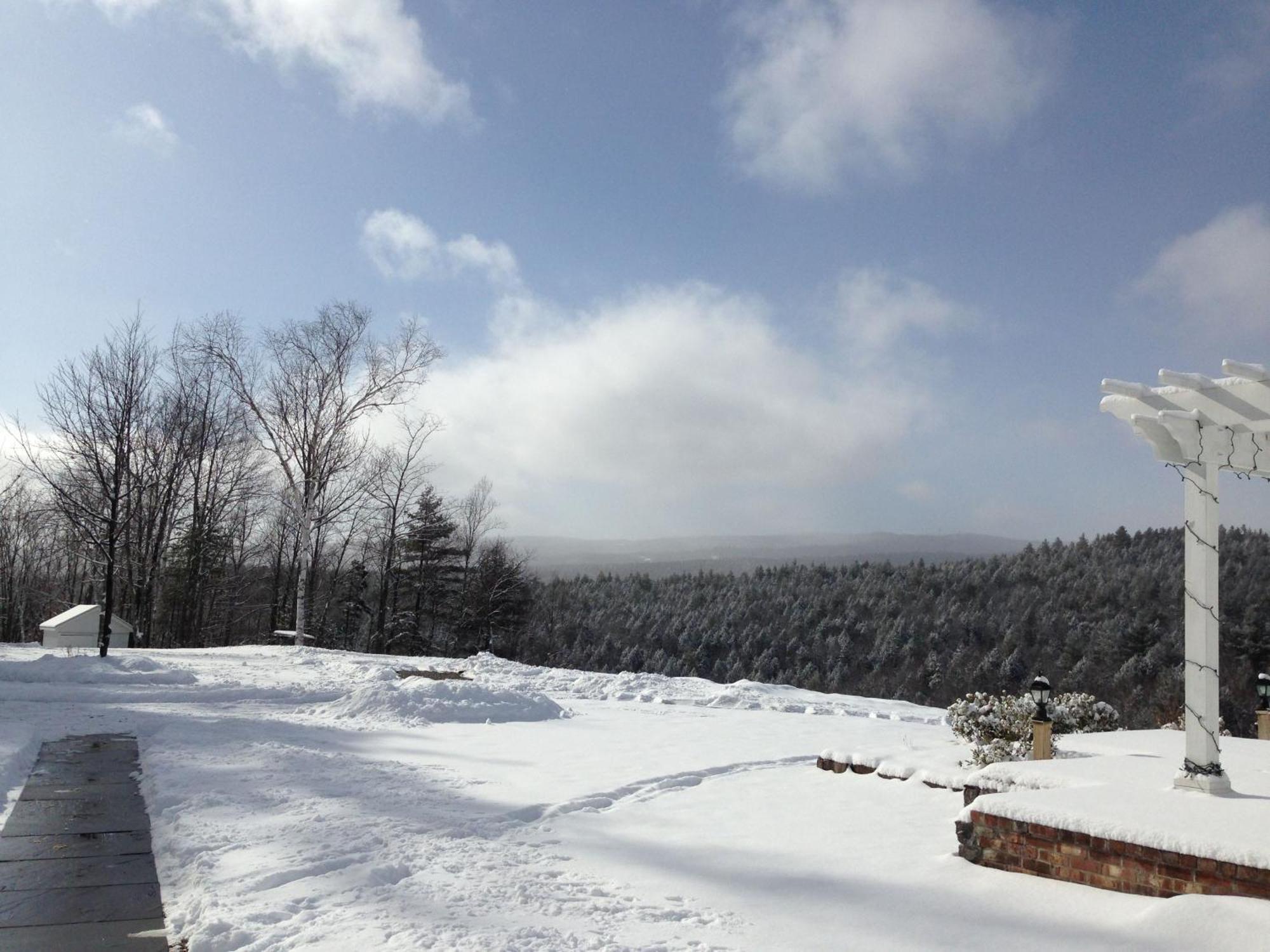 Adams Hill House Retreat - Artist-Architect'S Estate, Newfane Vermont Экстерьер фото